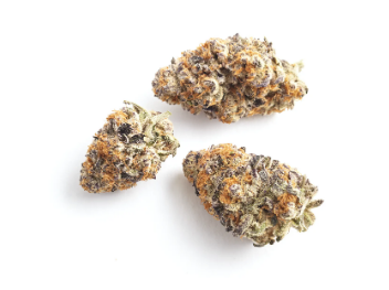 Platinum Garlic OG